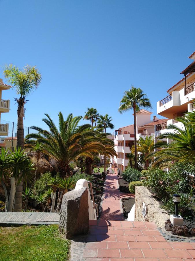 Forest Flat - Big Heated Pool, Terrace, Tv Channels, Golf Courses * San Miguel de Abona